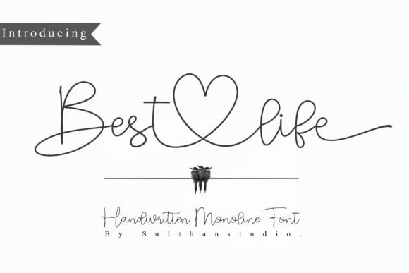 Best Life: A Stylish Handwritten Font for Engaging Campaigns