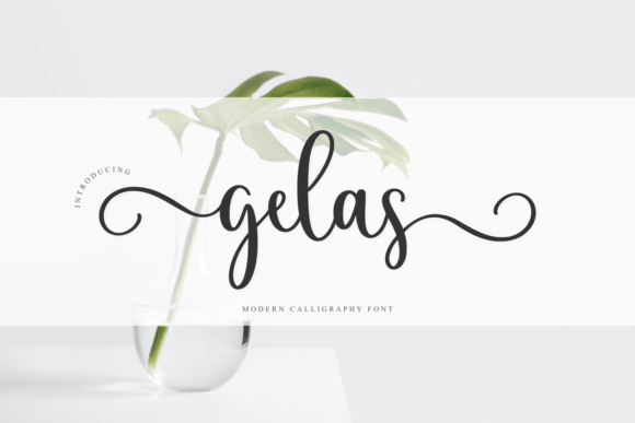 Gelas Font: A Typographic Touch for Editorial Personality