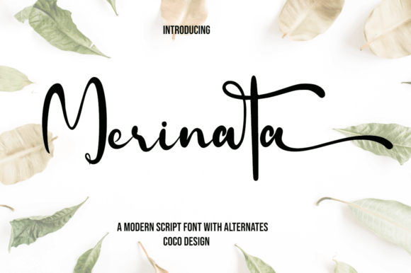 Merinata: A Typeface That Balances Charm and Editorial Clarity